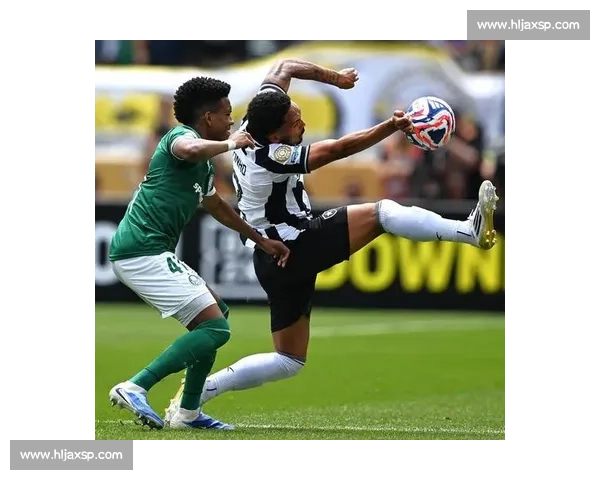 帕尔梅拉斯半场闷平博塔弗戈 攻防拉锯战三人染黄 帕尔梅拉斯半场闷平博塔弗戈 攻防拉锯战三人染黄